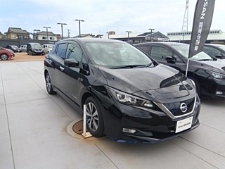 Nissan Leaf e+ X